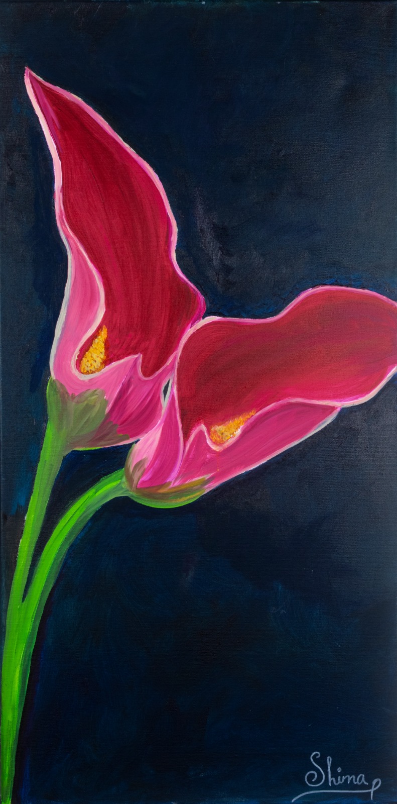 Crimson Calla